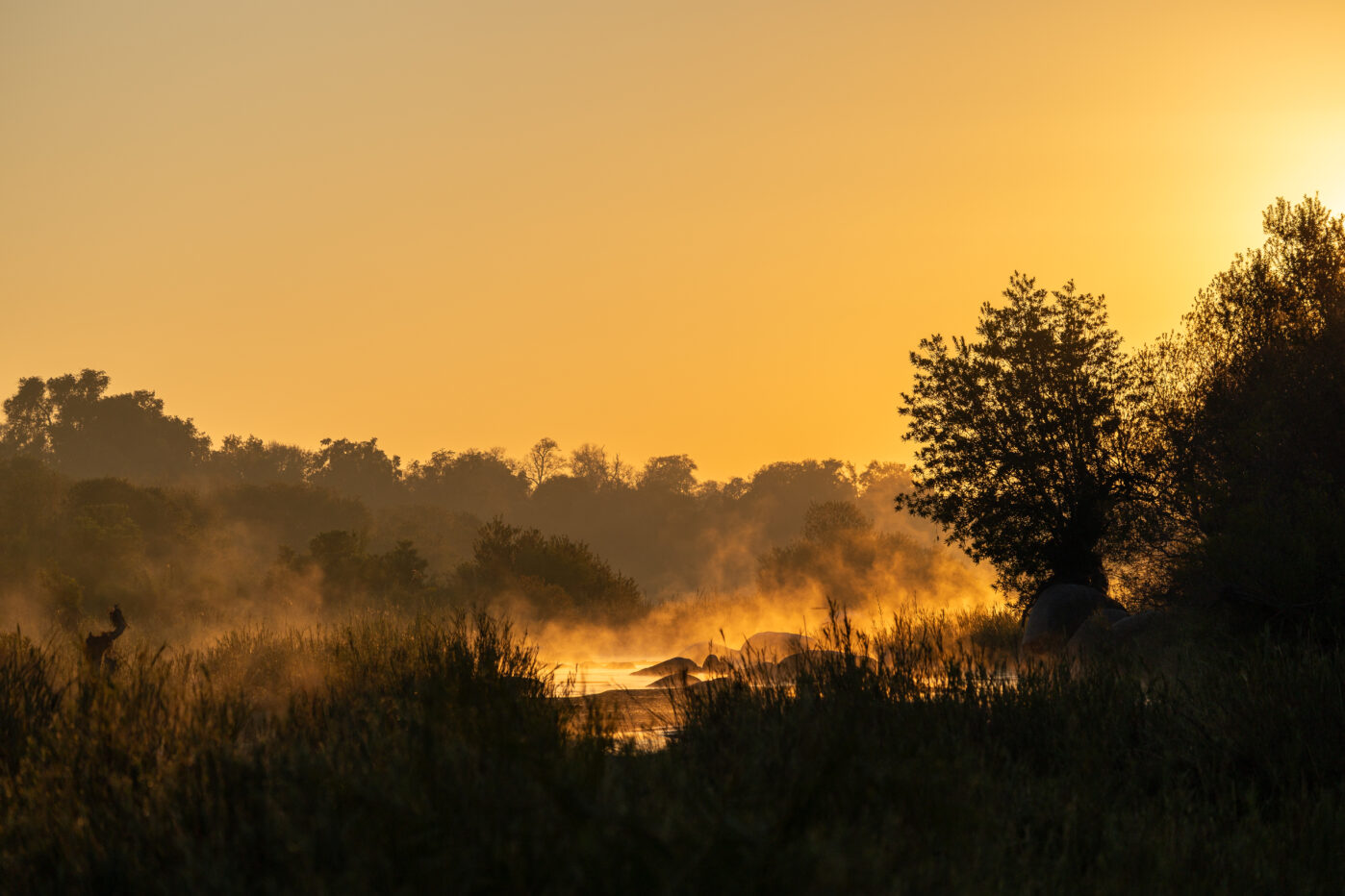 Bt Sand River Sunrise 1