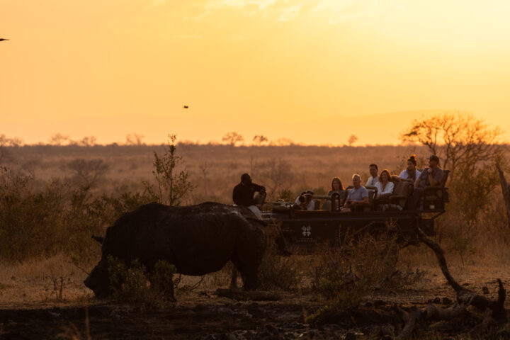 Bt Sunset At Weavers Nest With Rhino And Keags P2 1